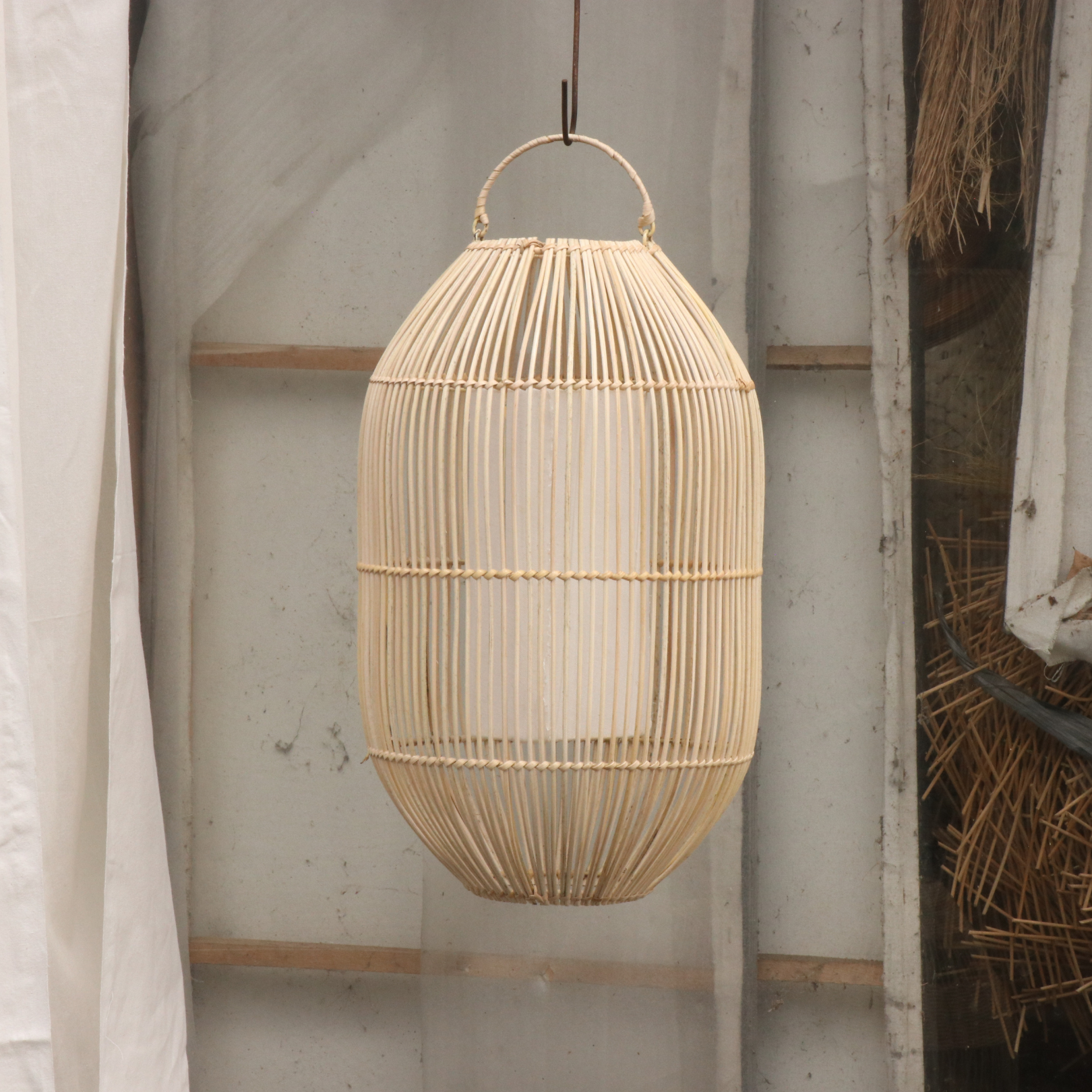 Animi Dolor Pariatur